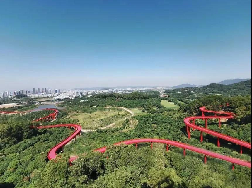 undefined 订阅要说深圳最红的网红景点是什么那得是光明区虹桥公园