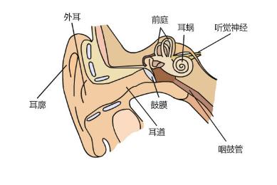 孩子总喊耳朵疼小心急性中耳炎