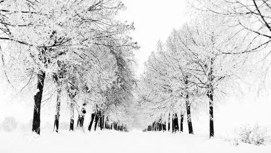 袁叙田多次写到雪