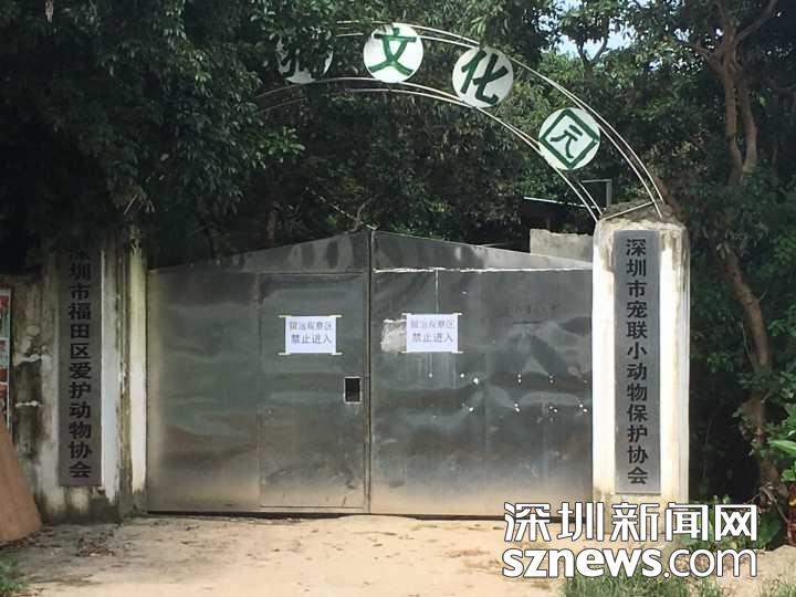 记者探访观澜流浪狗收容所 情况有改善 10天内开放领养