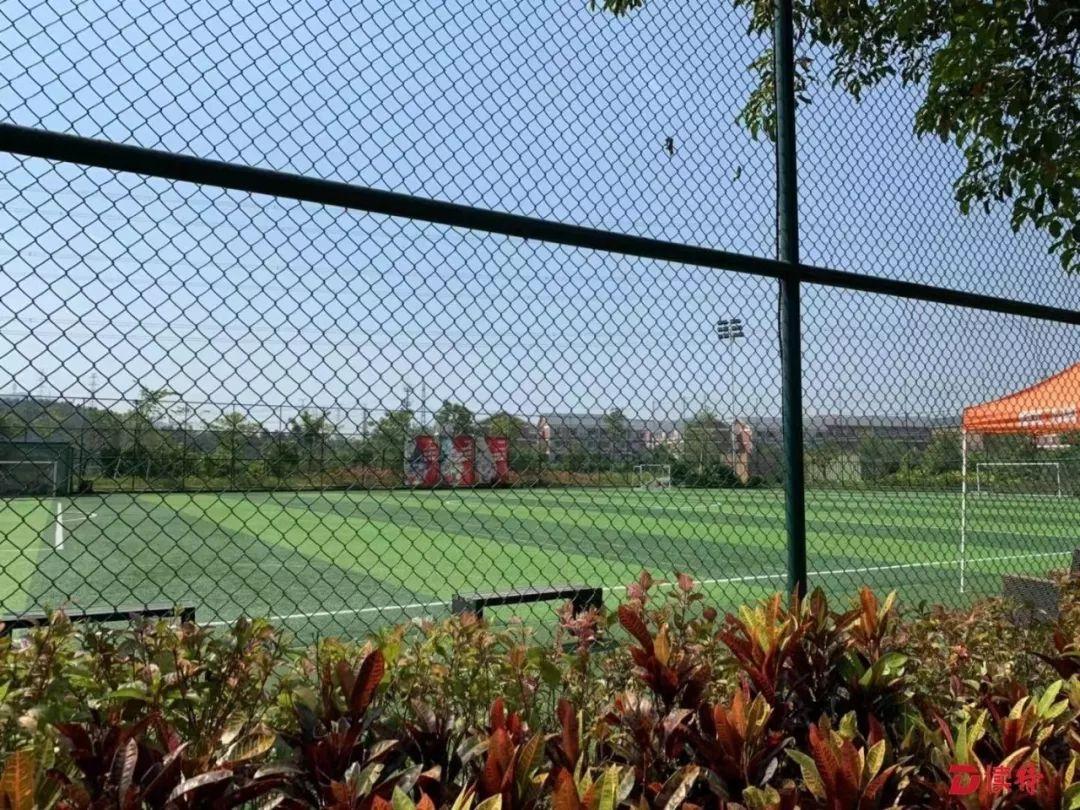 大生体育公园竟要收费原因是