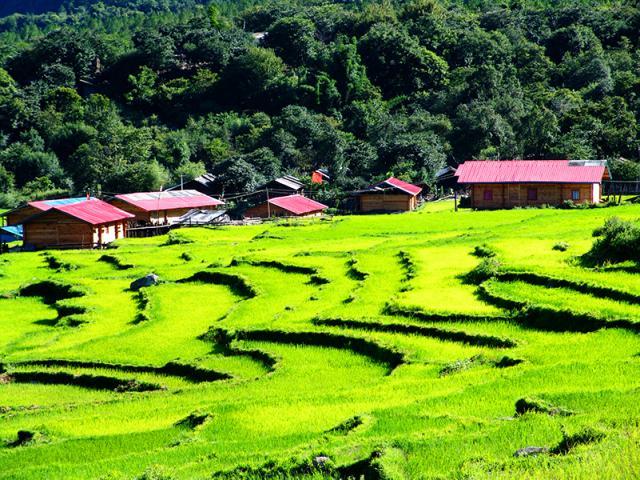 察隅县边境第一村:沙玛村.