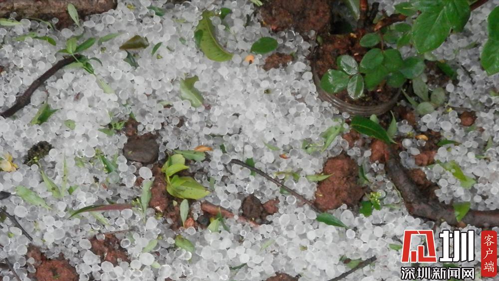 广东多地落下今年首场冰雹 广州启动气象灾害应急响应
