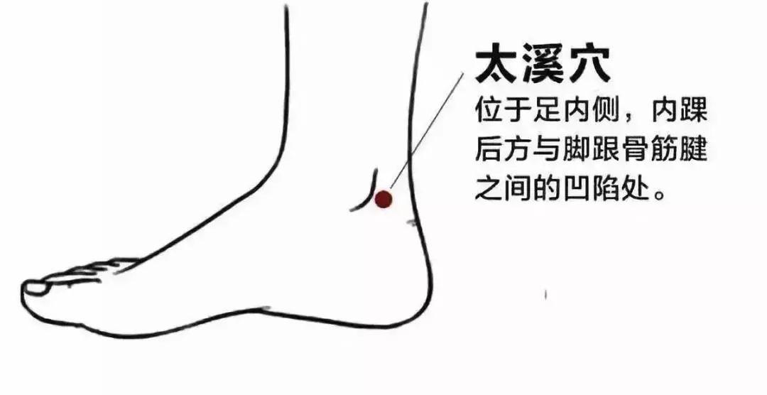 (自己的手橫著放,約四根手指橫著的寬度) 取穴方法: 太溪穴位於足內側