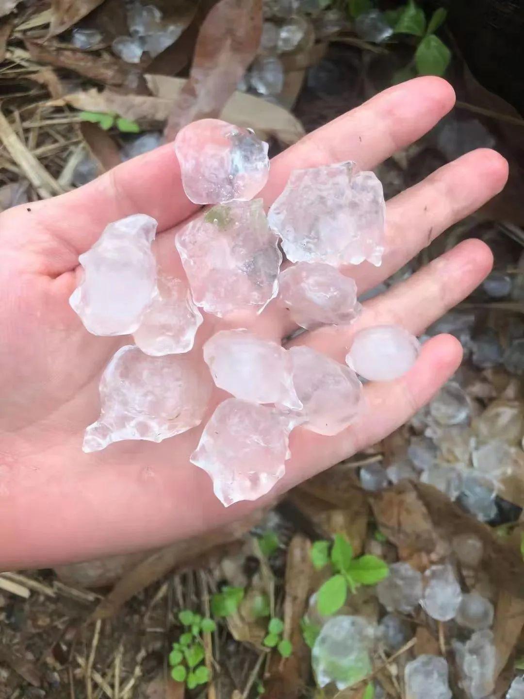 广东这里竟然下冰雹了而深圳未来几天的天气是