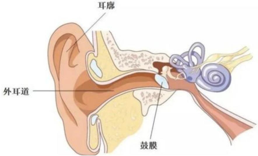 採耳很爽?對耳朵的傷害也不小!