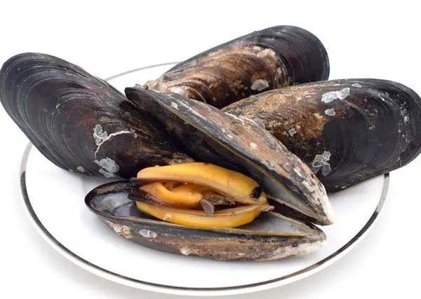 翡翠贻贝,也叫青口