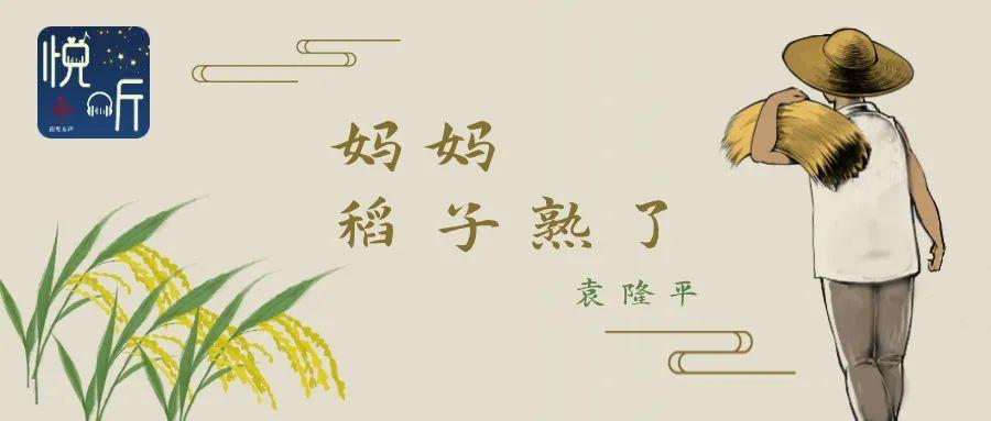 家庭家教家风袁隆平妈妈稻子熟了