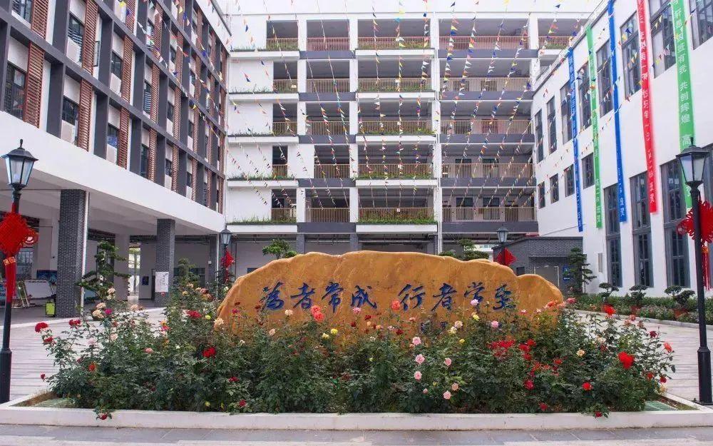 遇见罗高:不一样的学校,成就不一样的你