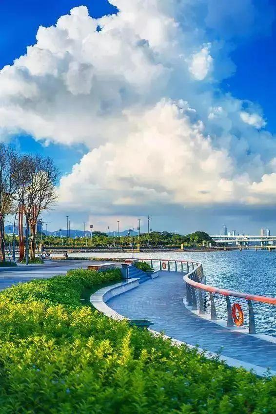 这里是南山最美美美美美美美美滨海公园