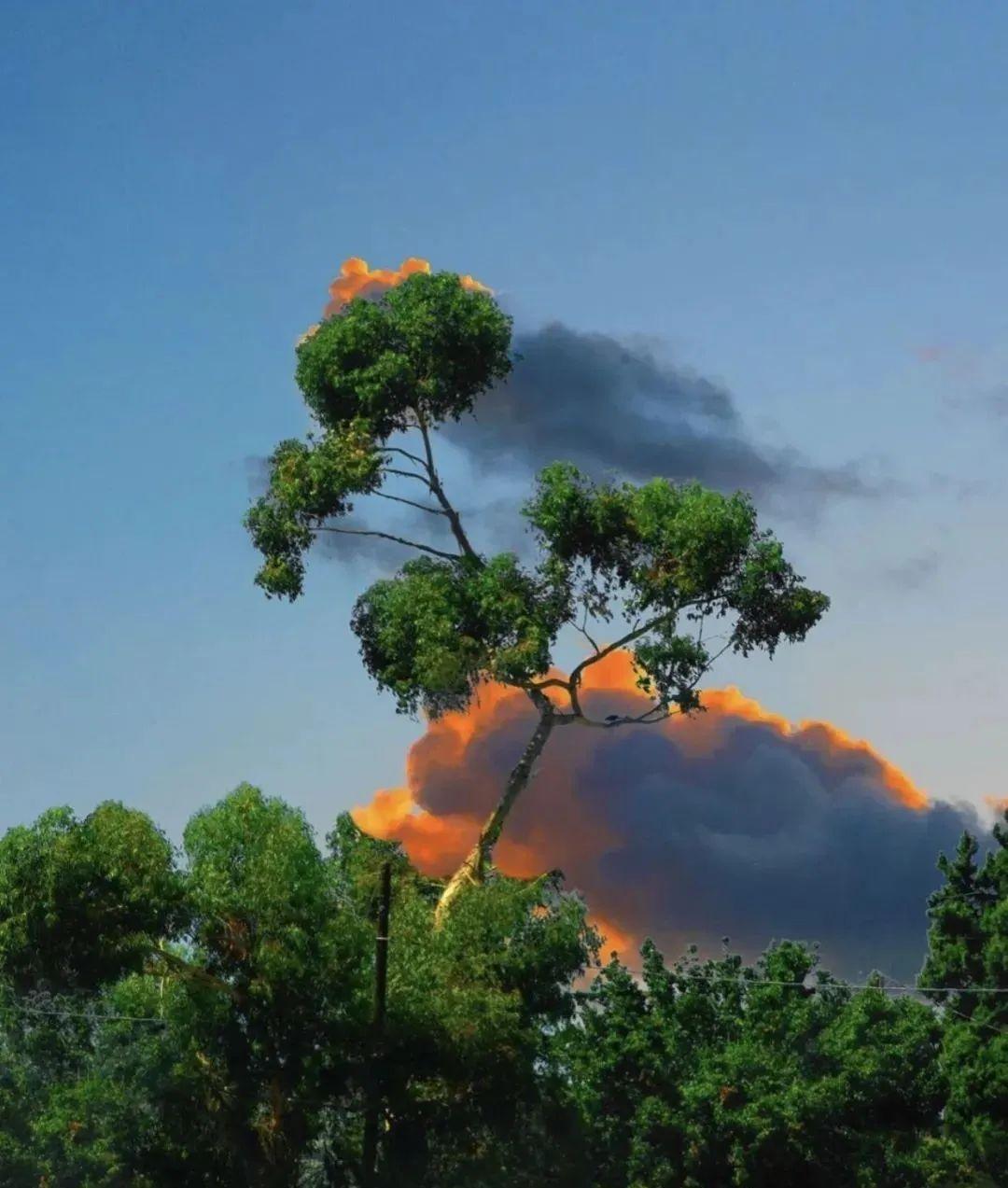 欣赏当代都市人的浪漫kangheekim超现实摄影