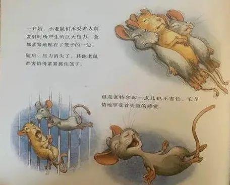 乐读龙岗创作大阅读老鼠宇航员世界上最棒的礼物阅读活动