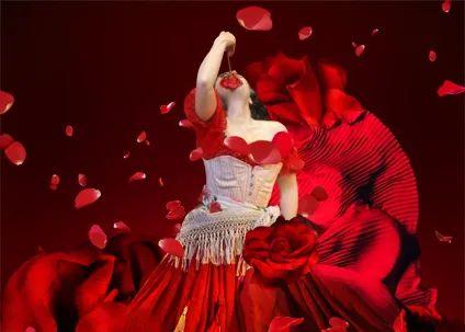 男主人公唐霍塞的咏叹调《花之歌》可谓是一次发自肺腑的对爱情的表白