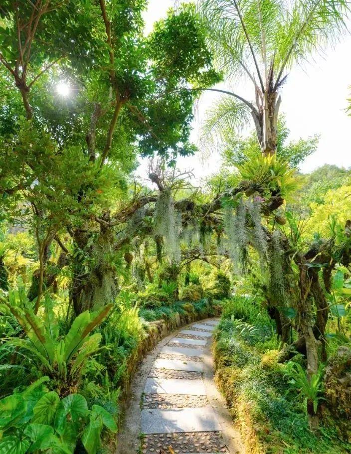 万象罗湖绿野幽径园林小景67湖光山色相绕罗湖这个地方宛如仙境