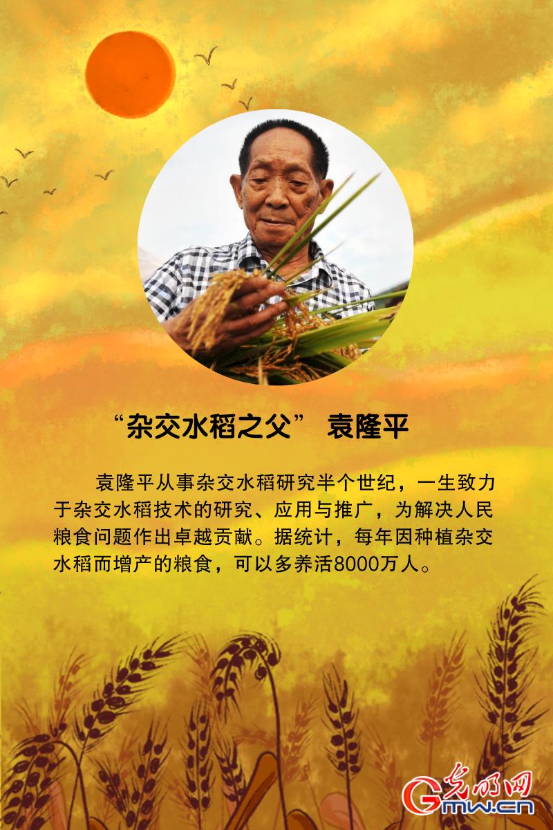杂交水稻之父 袁隆平小麦育种专家 程顺和海水稻之父 陈日胜中国