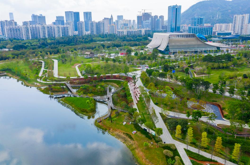 万物皆有灵领略桂湾公园生物多样性之美