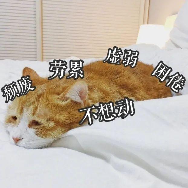不存在的~南山职工小伙伴,全国职工线上运动会邀您来参赛!