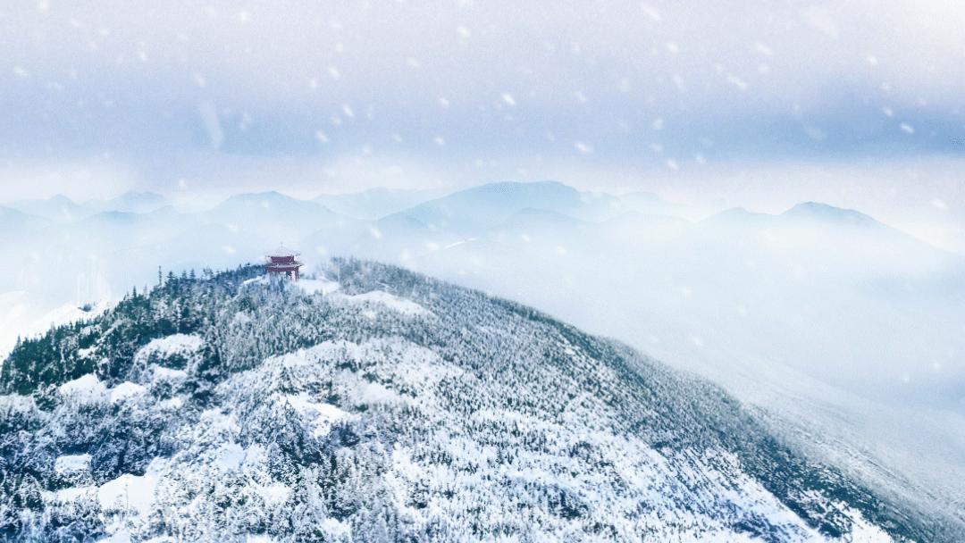 新年到雪花飘快来南山迎接2022年第一场雪