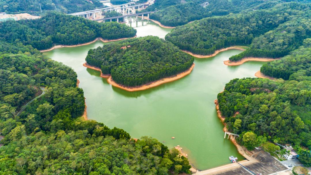 来龙华的水库!