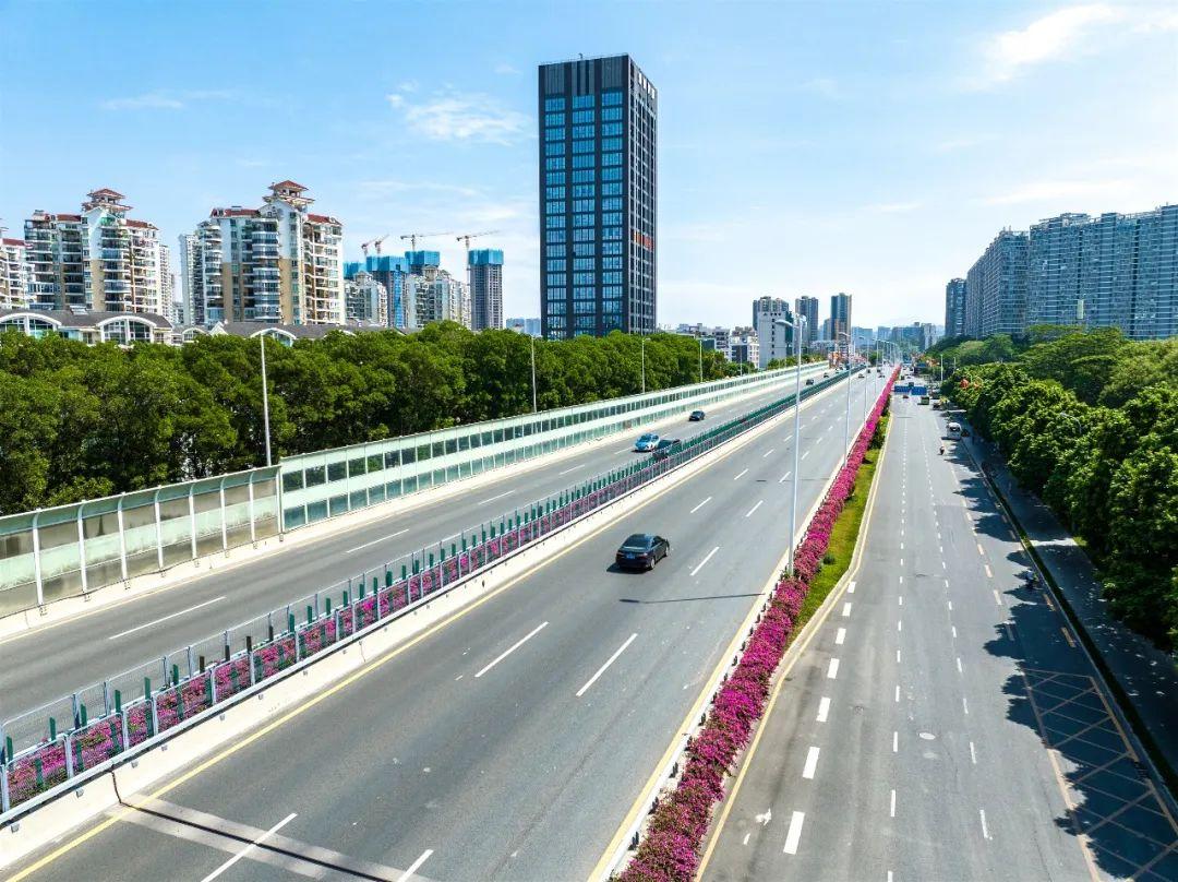 天桥龙澜大道天桥龙华大道天桥梅龙北天桥这就是簕杜鹃它是悬挂在天